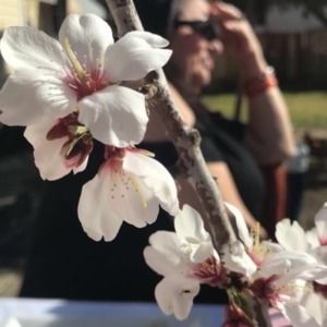 Meet your Posher, Annette